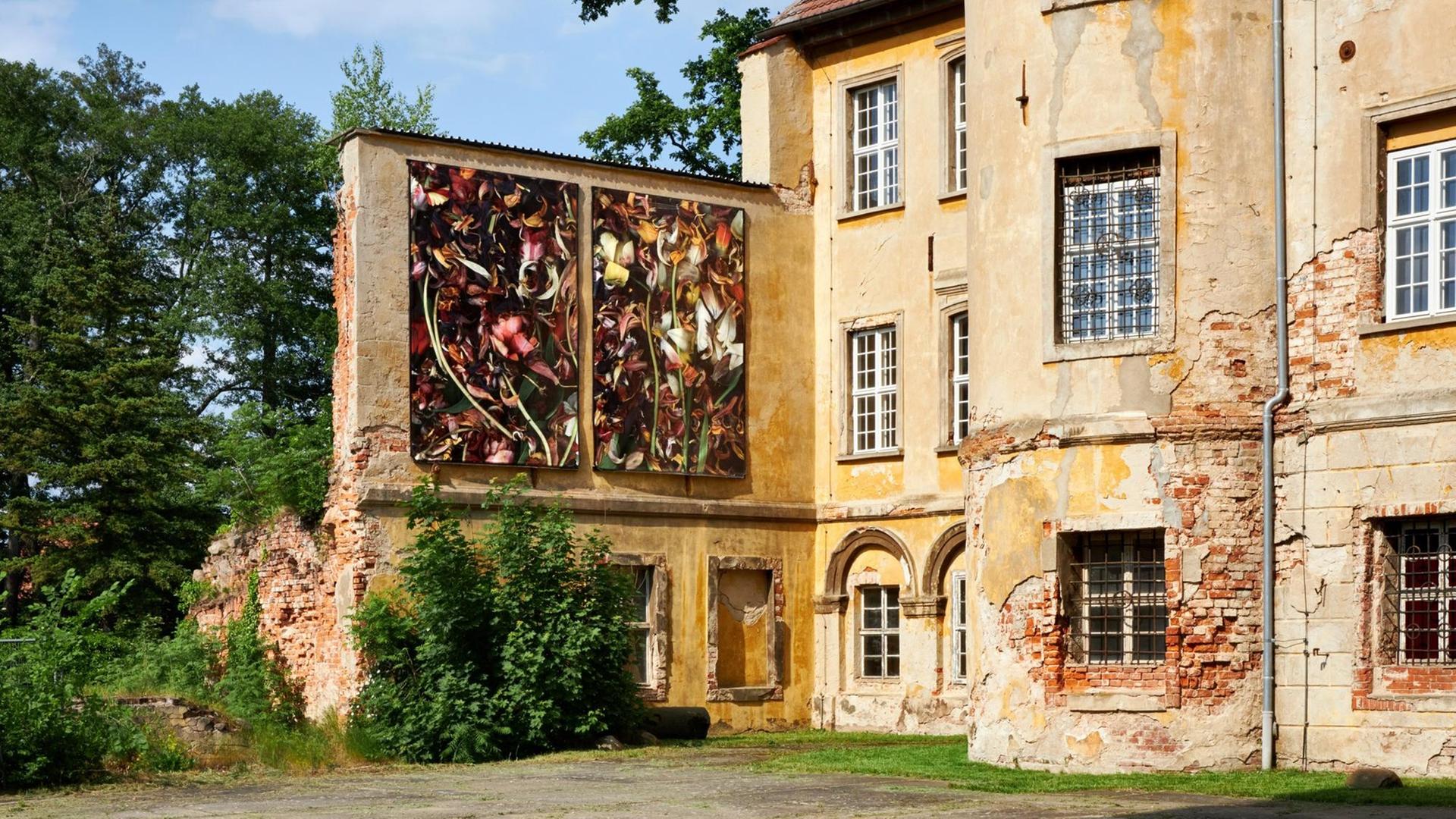 Luzia Simons' Stillleben an der Hausfassade von Schloss Lieberose.
