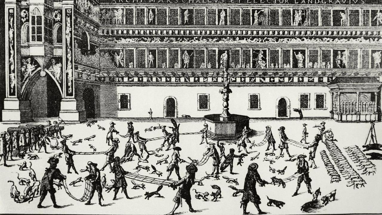 Im Hof des Dresdener Schlosses werden 1678 Tiere beim sogenannten Fuchsprellen gejagt.