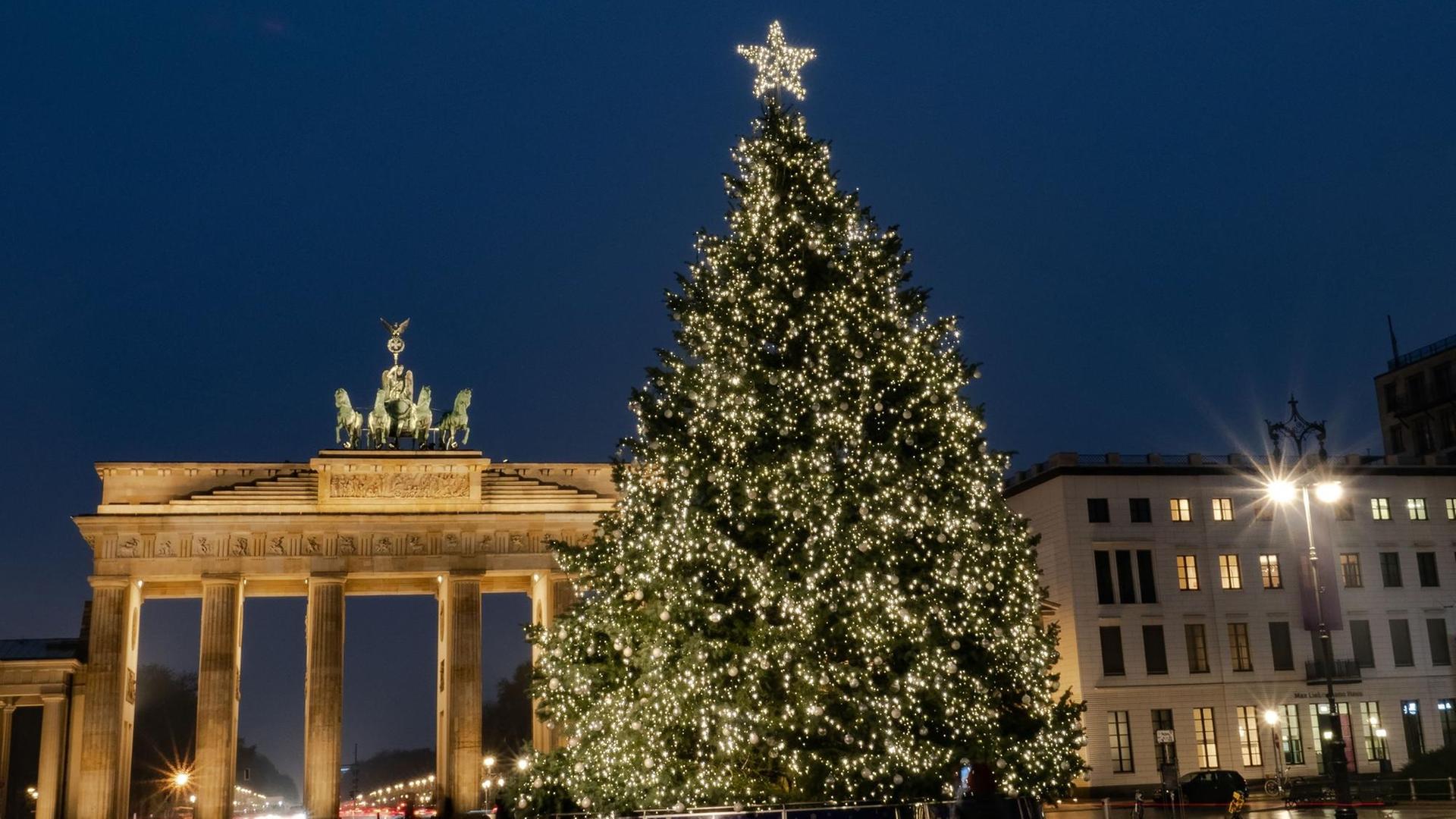 Berlin: Hell leuchtet der Weihnachtsbaum am Brandenburger Tor.