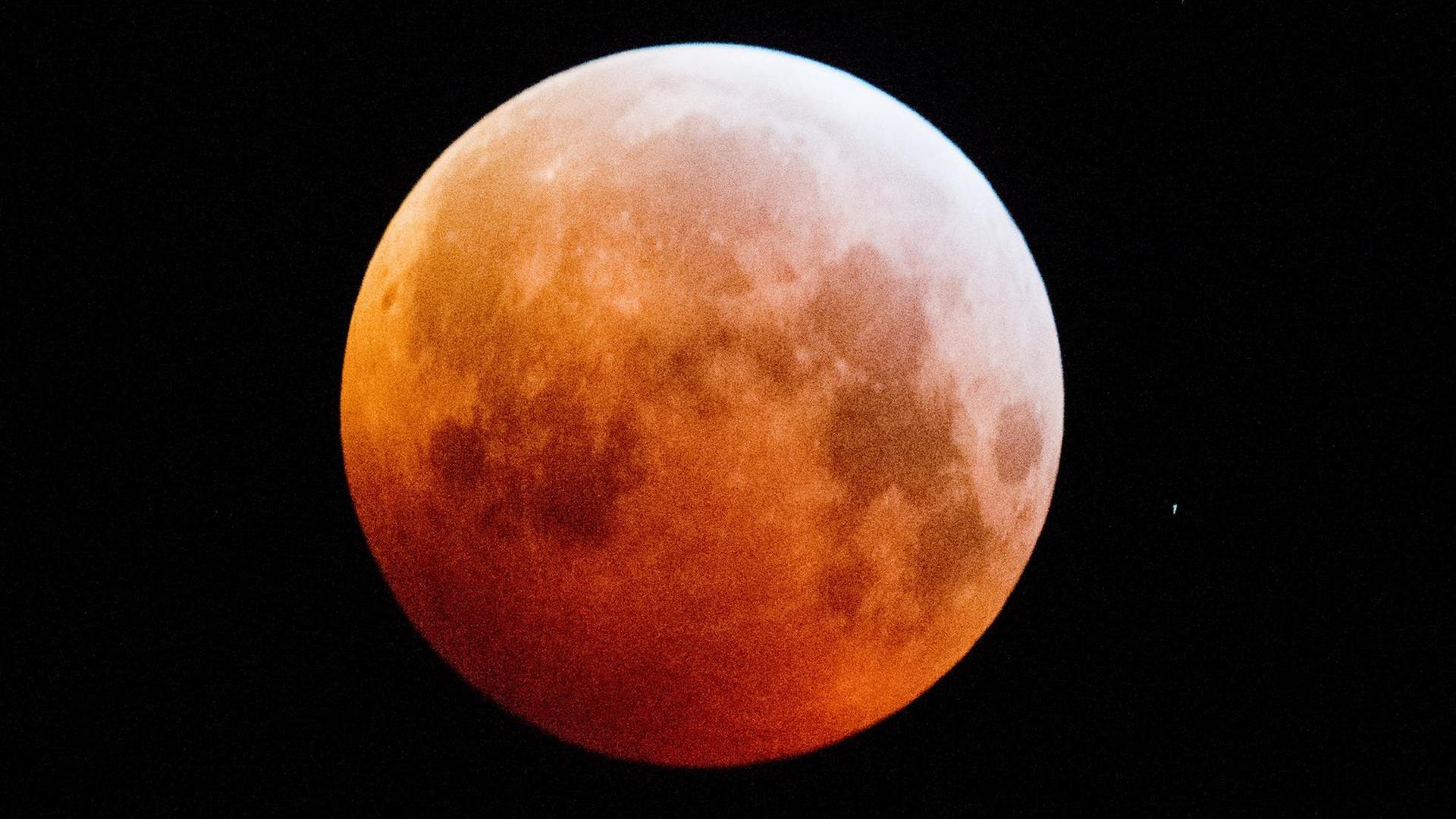 21.01.2019, Niedersachsen, Laatzen: Verdunkelt zeigt sich der Vollmond als sogenannter «Blutmond» und erscheint dabei rötlich. Mond, Sonne und Erde stehen bei einer Mondfinsternis genau in einer Linie. Foto: Julian Stratenschulte/dpa | Verwendung weltweit