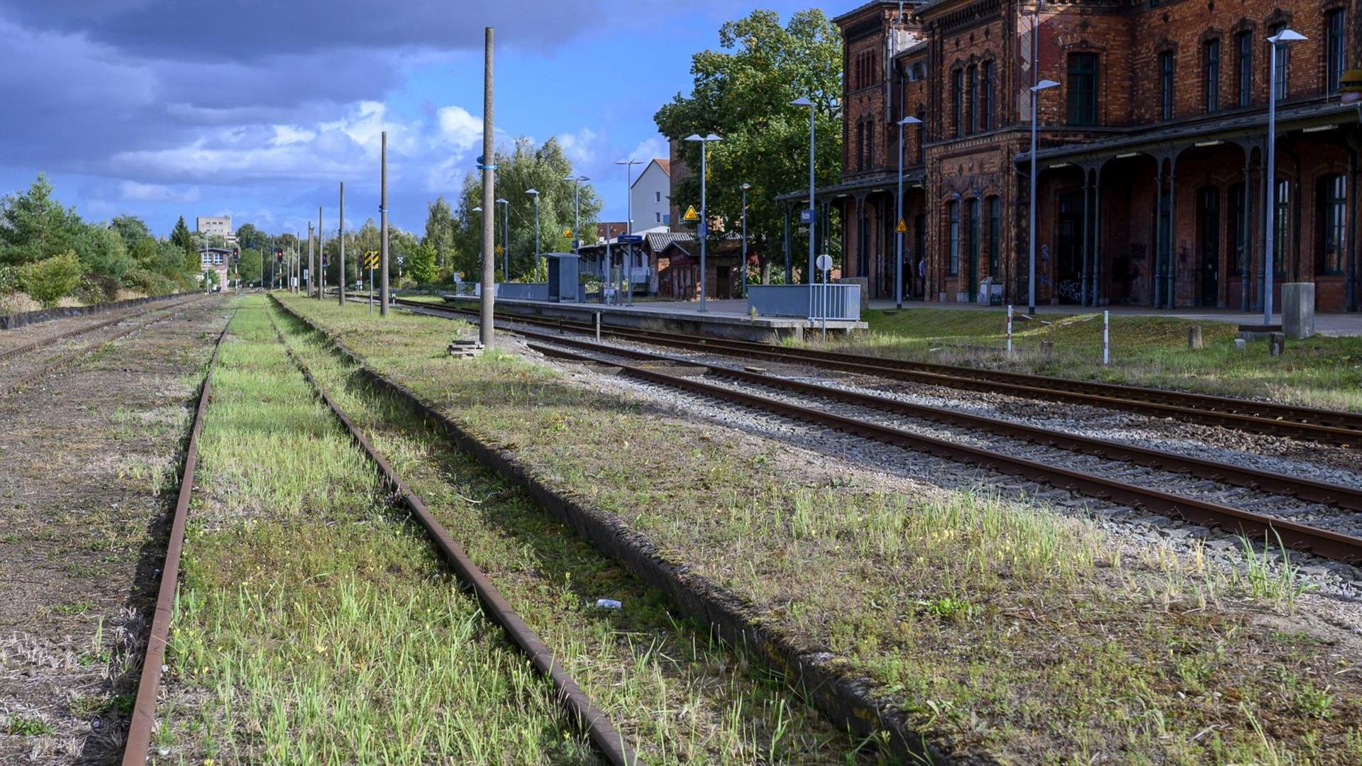 Gras wächst zwischen den Schienen auf dem Gelände eines ehemaligen Bahnhofs.