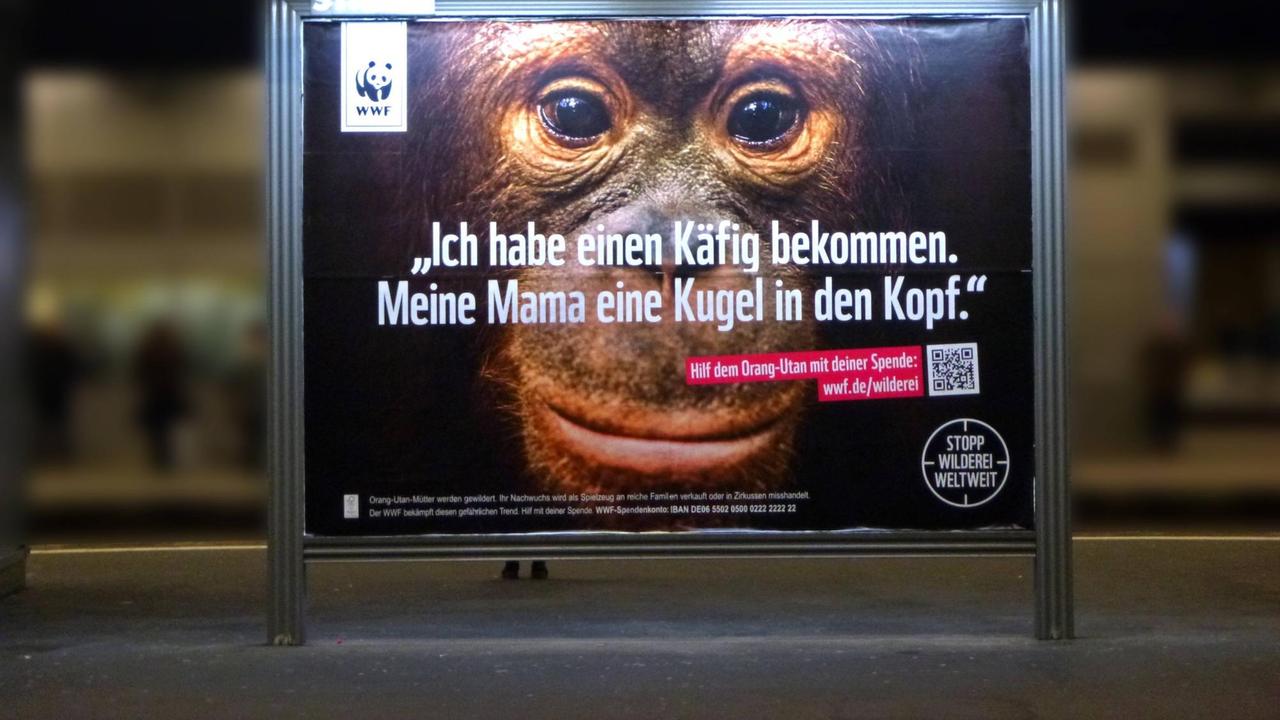 Plakat der Umweltstiftung Deutschland gegen die Wilderei auf der Welt. 