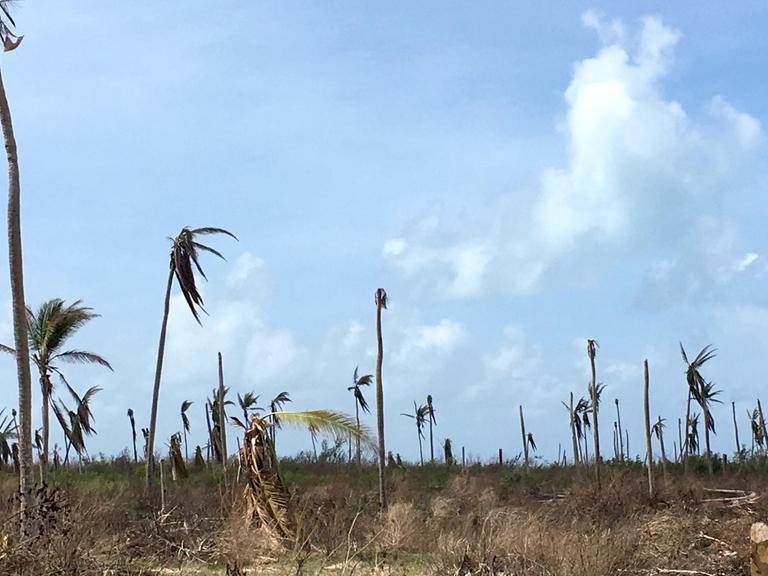Menschen bewohnen die Karibikinsel Barbuda seit der Verwüstung durch Hurrikan Irma noch nicht wieder