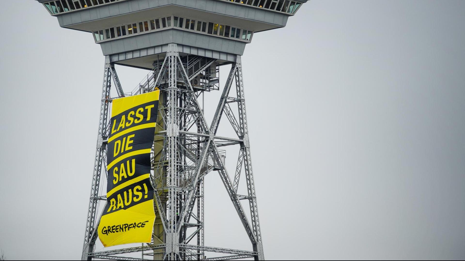 Ein Protest-Plakat von der Gruppe "Greenpeace". Sie will mehr Schutz für Tiere. Auf dem Plakat steht: "Lasst die Sau raus!" 