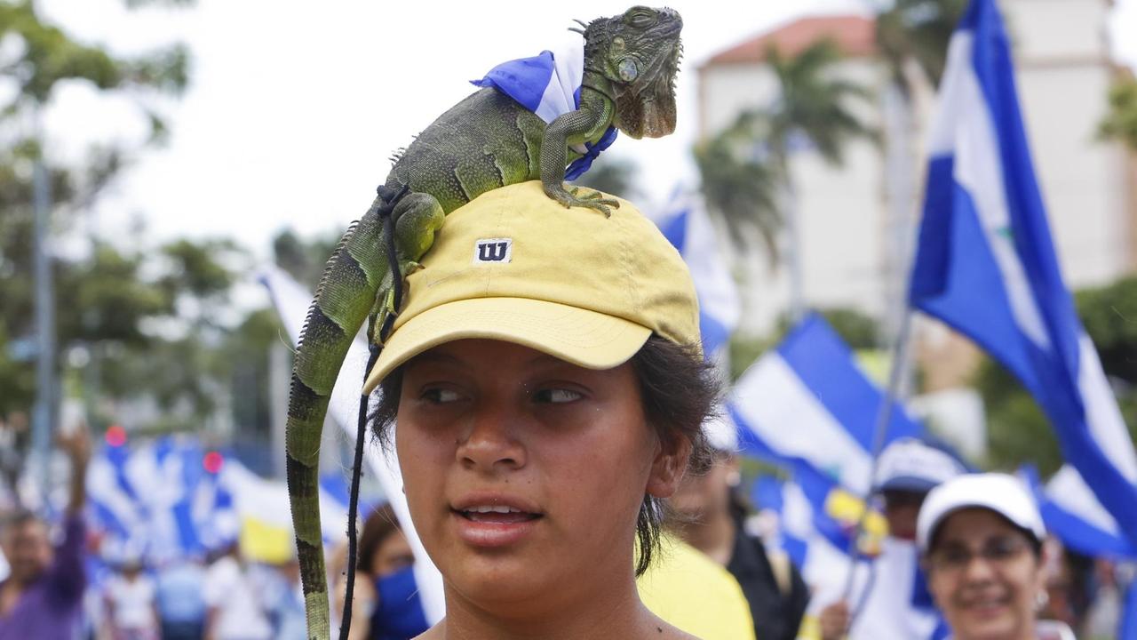 Mit einem Leguan auf dem Kopf protestiert diese Frau gegen die Regierung.