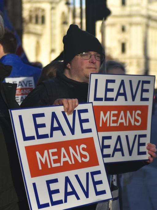 Pro-Brexit-Demonstranten vor dem Britischen Parlament