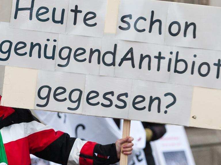 Mit Plakaten gegen Massentierhaltung und Tierquälerei demonstrieren Vertreter mehrerer Bürgerinitiativen am Freitag (25.11.2011) in Hannover am niedersächsischen Landwirtschaftsministerium.