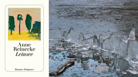 Buchcover "Leinsee" von Anne Reinecke im Hintergrund ein gefrorener See