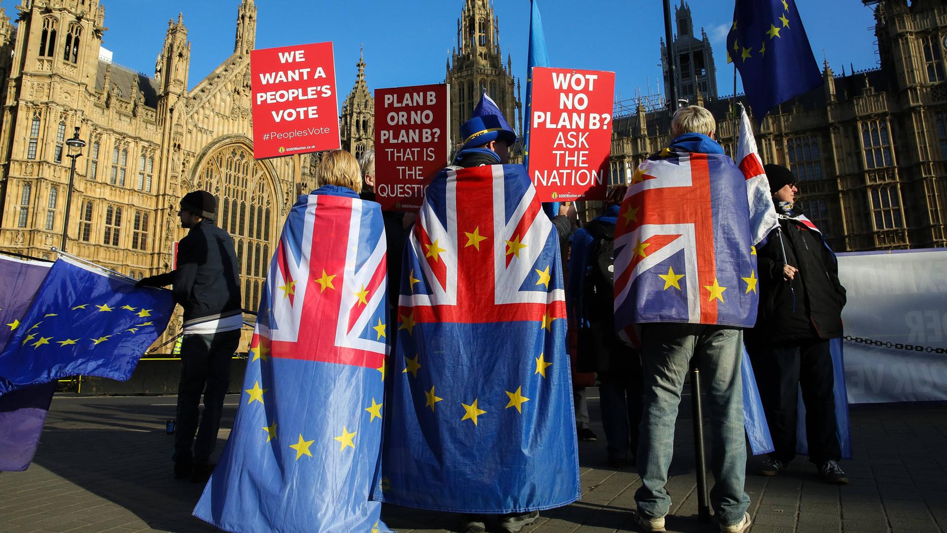 Eine Handvoll Anti-Brexit-Demonstranten steht vor dem britischen Parlament in London. Sie haben sich Flaggen umgehängt, die sowohl die britische als auch die europäische Flagge zeigen. Sie halten Plakate hoch, auf denen etwa steht: "We want a people's vote".