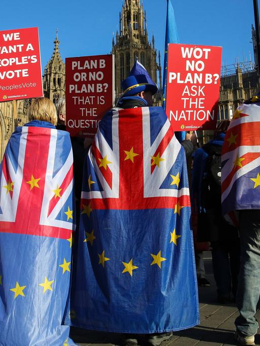 Eine Handvoll Anti-Brexit-Demonstranten steht vor dem britischen Parlament in London. Sie haben sich Flaggen umgehängt, die sowohl die britische als auch die europäische Flagge zeigen. Sie halten Plakate hoch, auf denen etwa steht: "We want a people's vote".