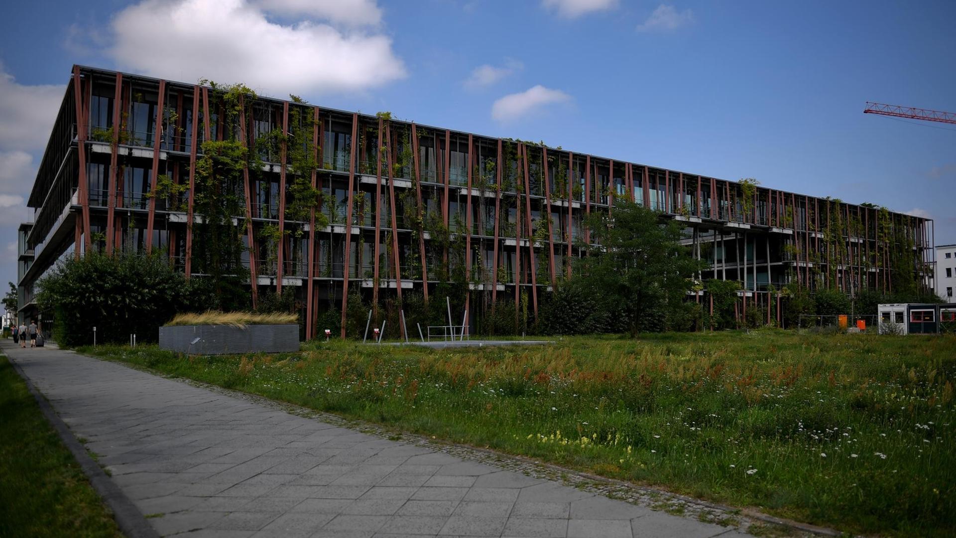 Ein mehrstockiges Gebäude mit begrünter Fassade, davor ein Weg und eine Wiese. Es handelt sich um das Instituts für Physik der HU Berlin, an dem ein Konzept der Schwammstadt umgesetzt wurde.