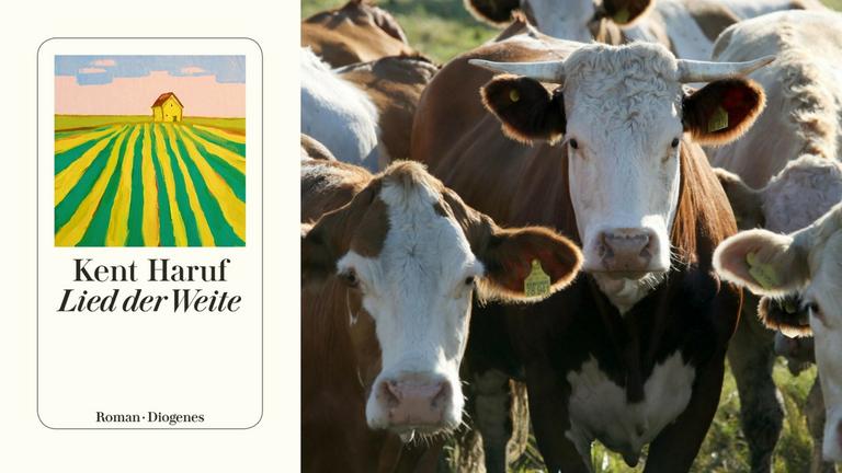 Buchcover Kent Haruf: Lied der Weite und Rinderherde
