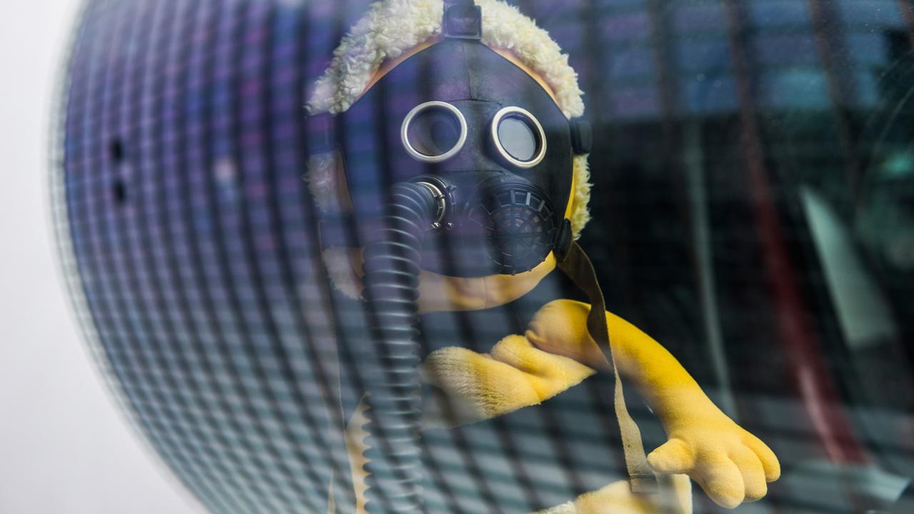 Ein Biene aus Stoff mit Gasmaske ist während einer Demonstration in Berlin hinter einer Autoscheibe zu sehen.