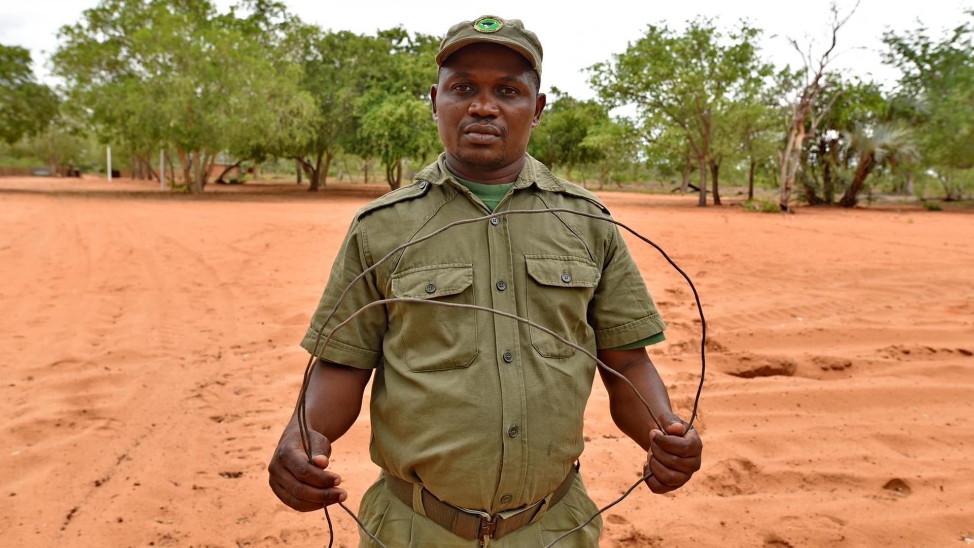 Kämpft nicht nur gegen die Schlingen der Wilderer, auch gegen Dürre und Armut: Der stellvertretende Leiter des Nationalparks Banhine in Mosambik, Helder Mandlate.