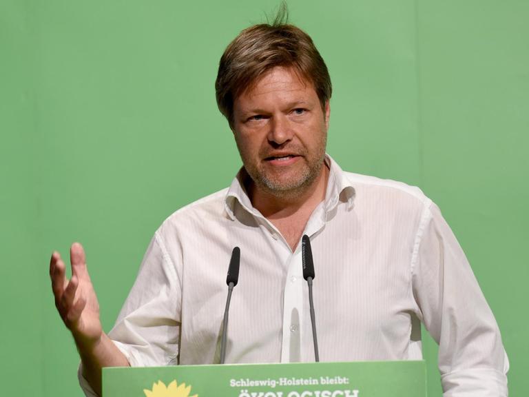 Der schleswig-holsteinische Umwelt- und Landwirtschaftsminister Robert Habeck (Bündnis90/Die Grünen) spricht in Neumünster bei einem Parteitag.