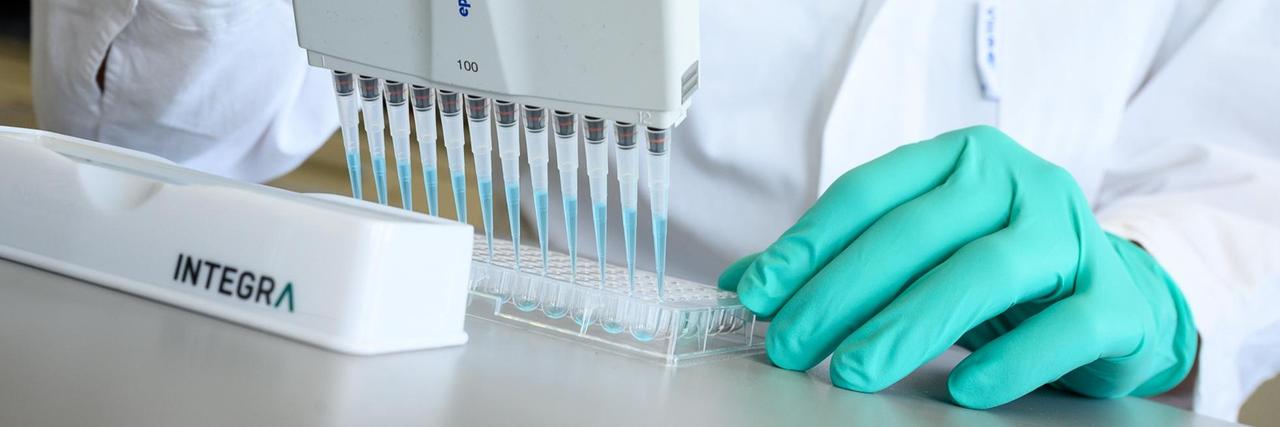 Ein Mann pipettiert in einem Labor des biopharmazeutischen Unternehmens Curevac eine blaue Flüssigkeit.