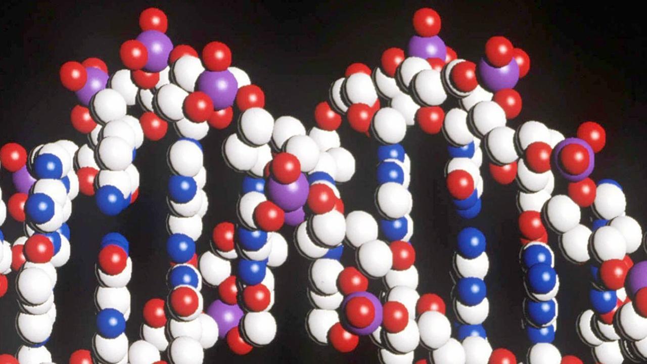 Foto eines Modells des menschlichen DNA-Stranges mit der doppelten Helix-Struktur