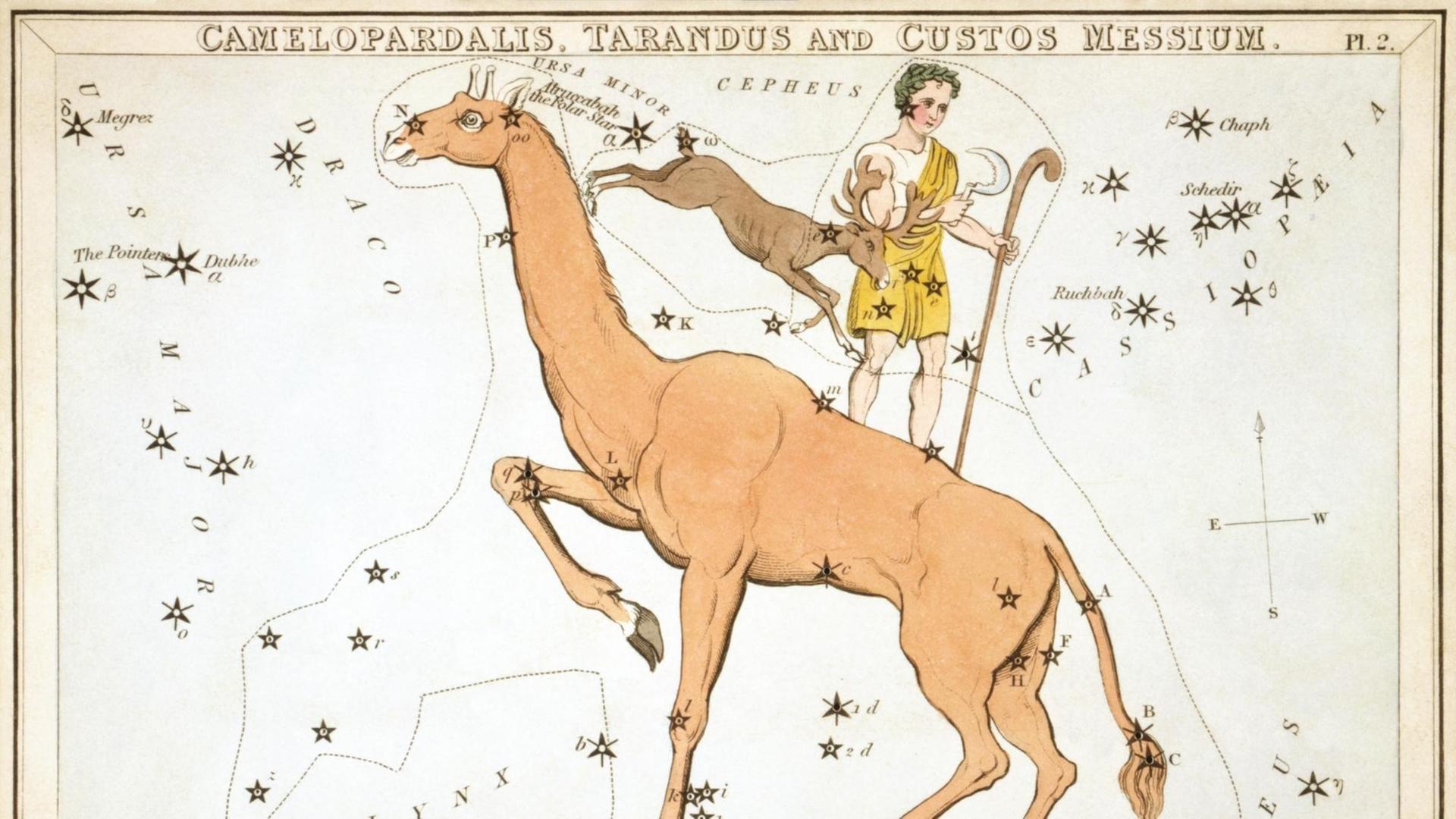 Die Giraffe in einer historischen Darstellung, gemeinsam mit den inzwischen gestrichenen Sternbildern Rentier und Messier Die Giraffe in einer historischen Darstellung, gemeinsam mit den inzwischen gestrichenen Sternbildern Rentier und Messier