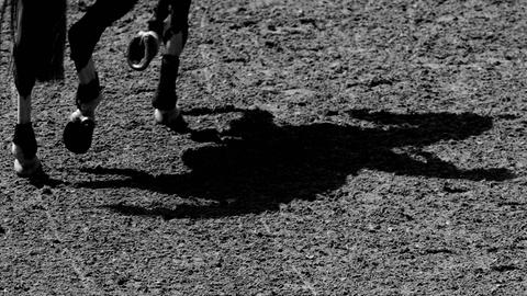 Schattenwurf von Reiter mit Pferd.