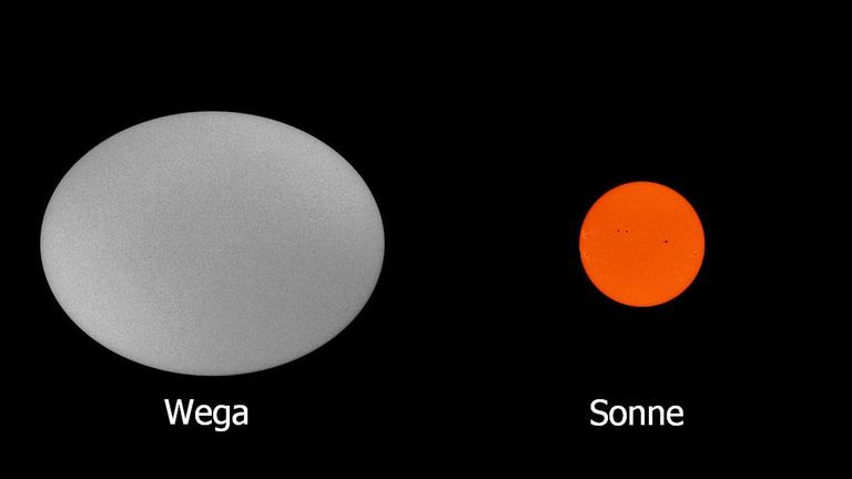 Größenvergleich zwischen Wega und Sonne; aufgrund ihrer sehr raschen Rotation ist Wega stark abgeplattet.