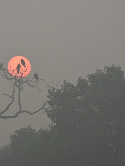 Die romantische Stimmung zum Sonnenaufgang ist vor lauter Smog kaum zu erkennen.