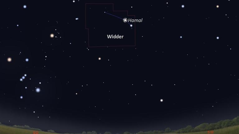 Das Sternbild Widder mit seinem Hauptstern Hamal, einem roten Riesenstern, steht derzeit gegen 20 Uhr am Südhimmel 