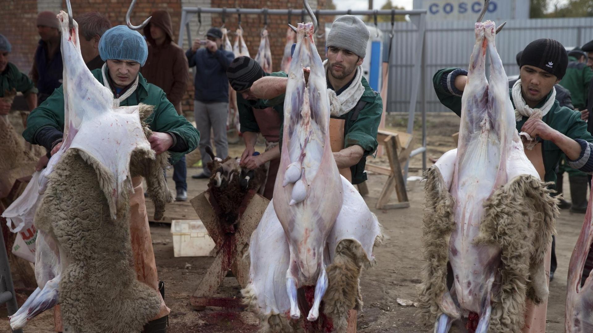 Im Zuge des islamischen Opferfest in Moskau wird drei Schafen das Fell abgezogen