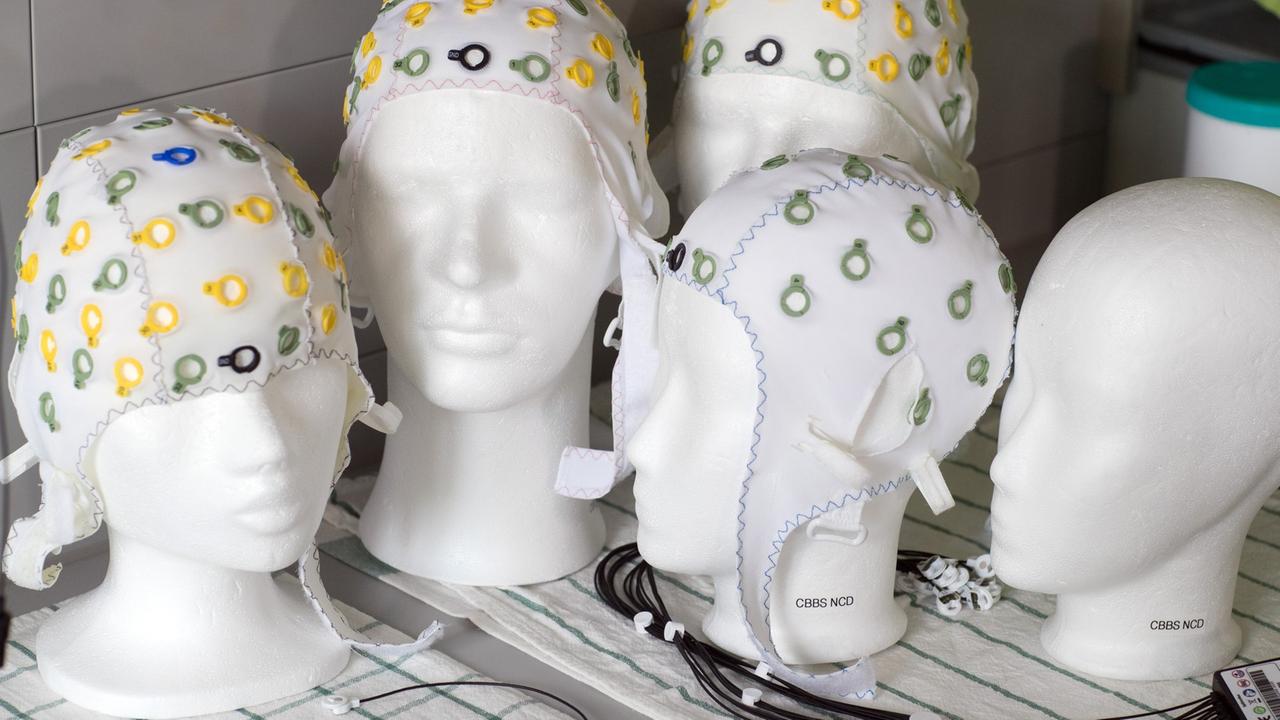 Kunststoffköpfe mit Elektroden-Kopfhauben stehen im Labor für Neurobiologie am Leibniz-Institut in Magdeburg.