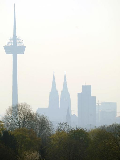 Die Skyline von Köln - aufenommen bei leichtem Dunst.