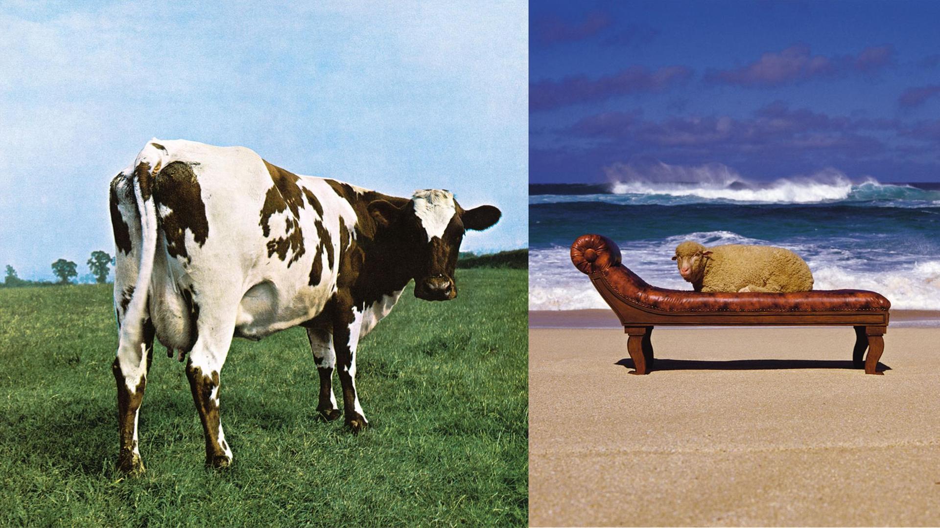 50 Jahre Vinyl Design Von Hipgnosis Der Mann Auf Dem Pink Floyd 