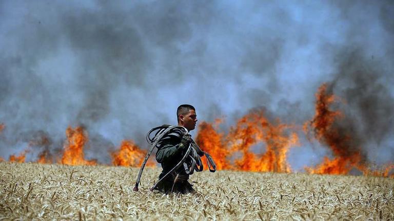 Die von der Israelischen Feuer- und Rettungsbehörde zur Verfügung gestellte Aufnahme zeigt einen Feuerwehrmann der mit Schläuchen durch ein Getreidefeld geht. 