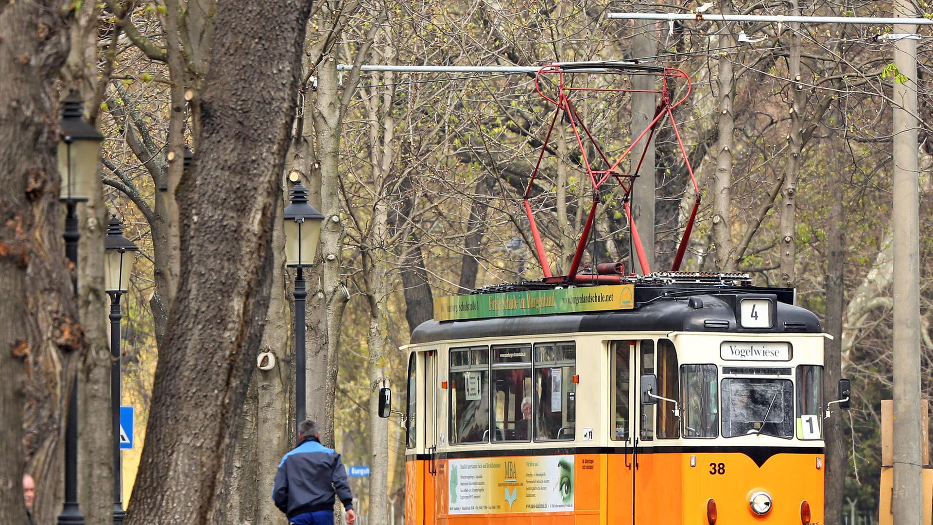Eine historische Straßenbahn in Orange biegt am Ende einer Allee nach links ab Eine historische Straßenbahn in Orange biegt am Ende einer Allee nach links ab