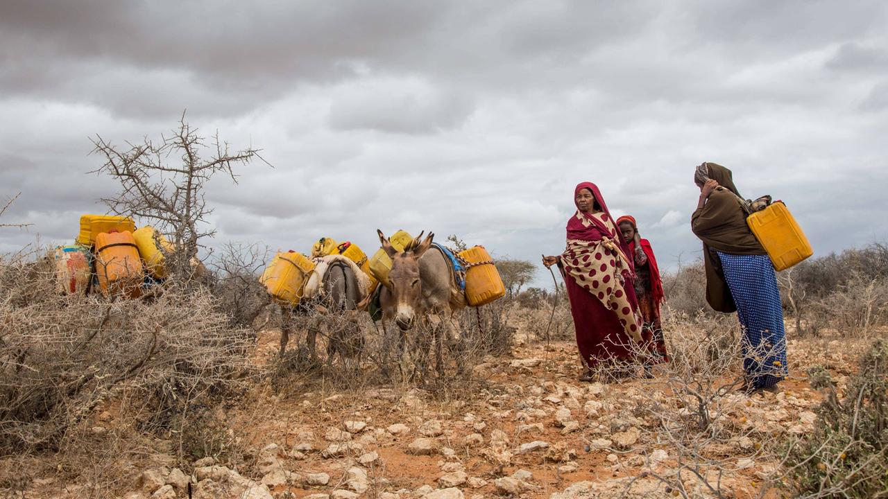 Frauen schleppen Wasserkanister von einem Brunnen in ihr 25 Kilometer entferntes Zuhause