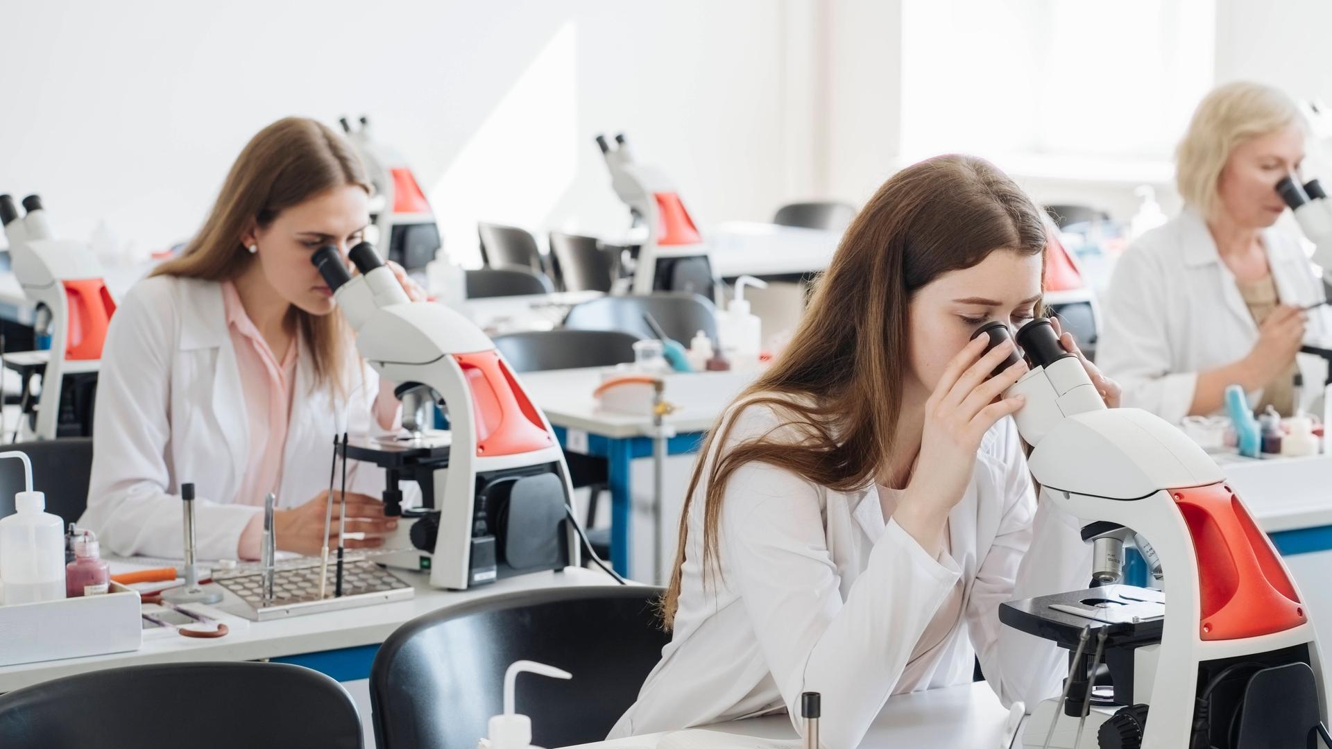 Studierende forschen an der Hochschule