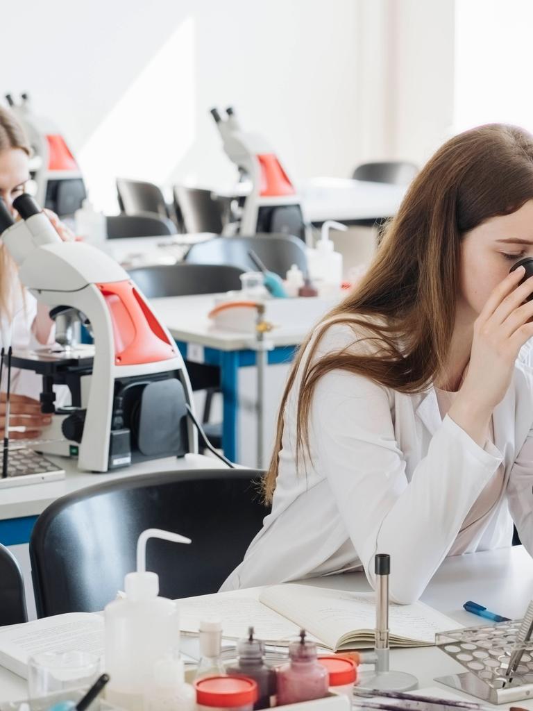 Studierende forschen an der Hochschule Studierende forschen an der Hochschule