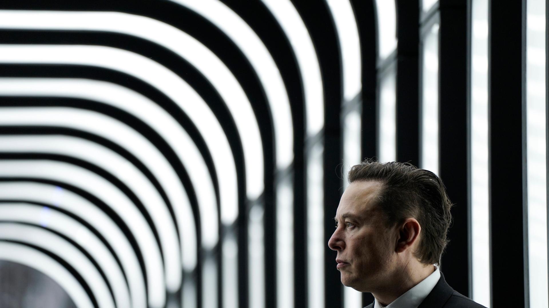 Tesla-Chef Elon Musk Tesla-Chef Elon Musk