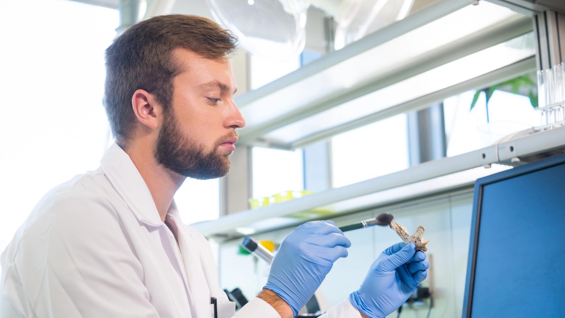 Archäologe arbeitet im Naturforschungslabor.