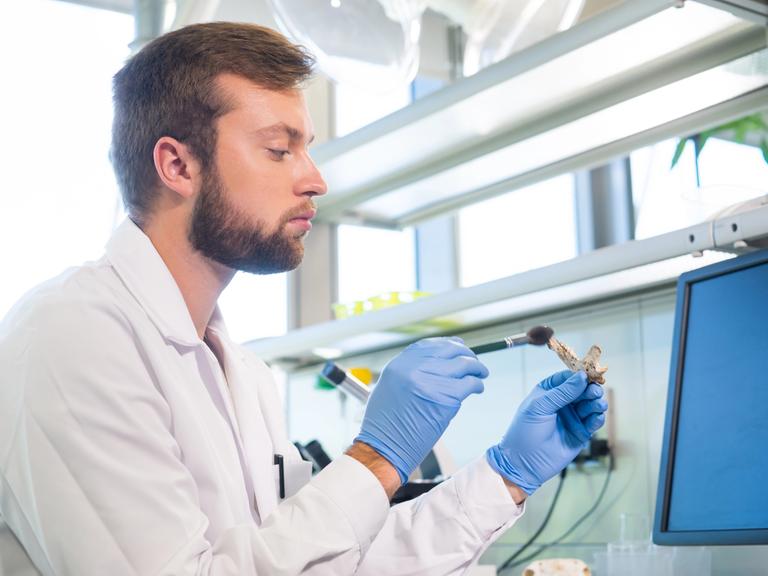 Archäologe arbeitet im Naturforschungslabor.