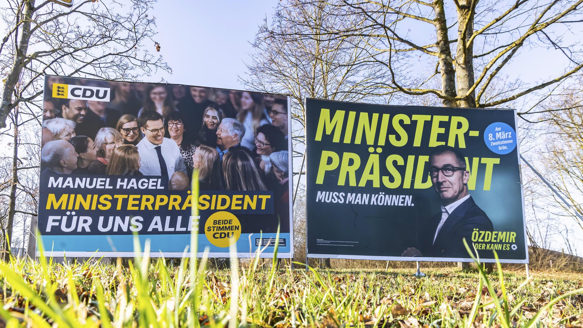 Wahlplakate auf einer Wiese