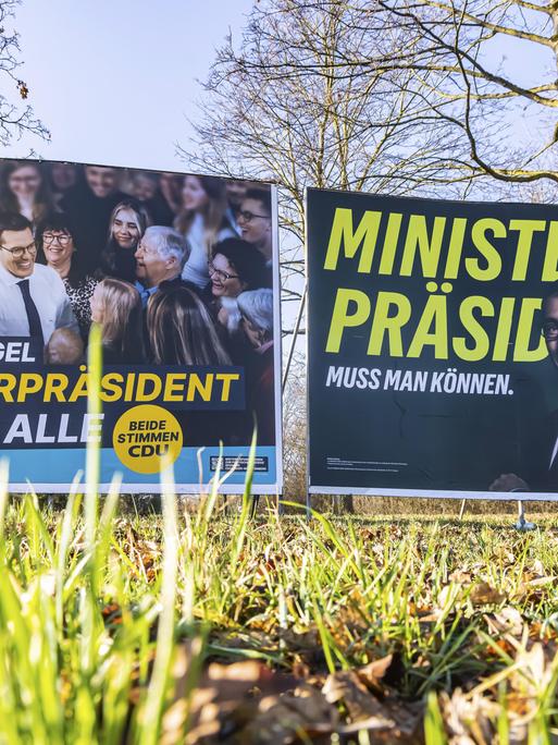 Wahlplakate auf einer Wiese