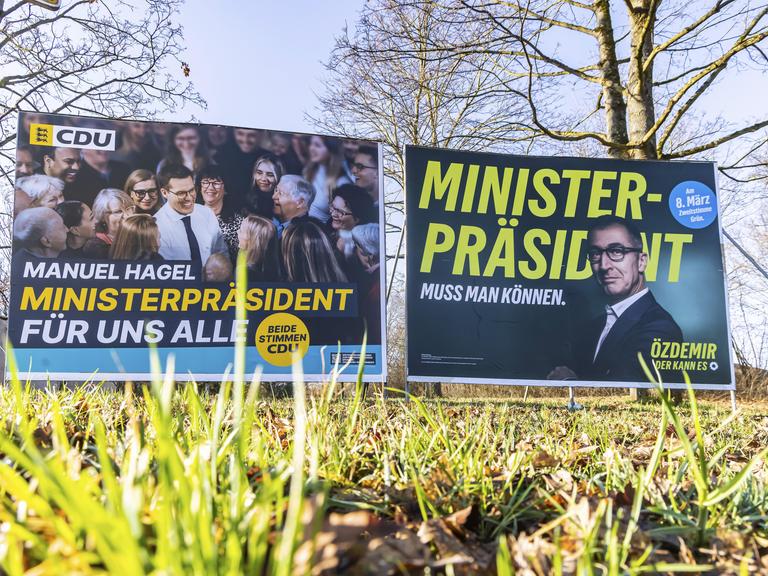 Wahlplakate auf einer Wiese