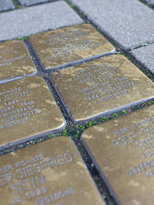 Stolpersteine in Köln Stolpersteine in Köln
