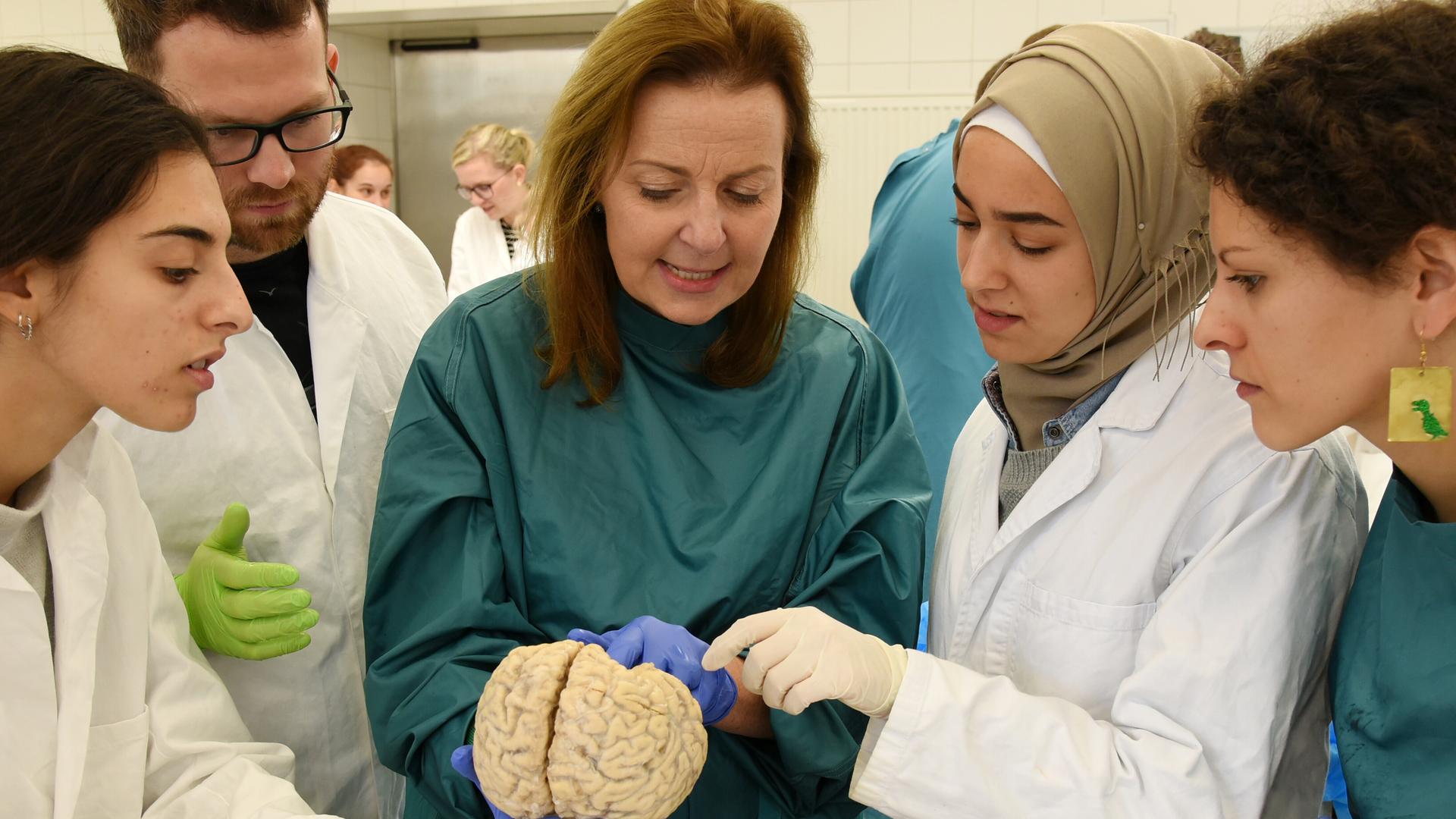 Im Präpariersaal der Medizinischen Fakultät an der Martin-Luther-Universität Halle-Wittenberg betrachten Studierende des 3. und 4. Studienjahres im Rahmen ihrer Ausbildung mit der Direktorin des Instituts für Anatomie und Zellbiologie, Prof. Dr. Heike…