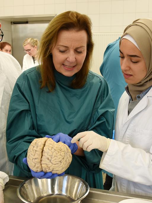 Im Präpariersaal der Medizinischen Fakultät an der Martin-Luther-Universität Halle-Wittenberg betrachten Studierende des 3. und 4. Studienjahres im Rahmen ihrer Ausbildung mit der Direktorin des Instituts für Anatomie und Zellbiologie, Prof. Dr. Heike…
