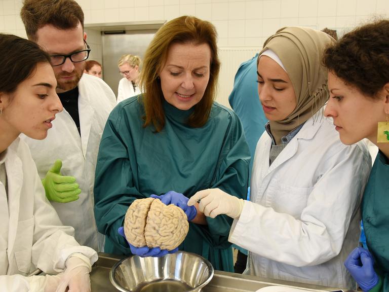 Im Präpariersaal der Medizinischen Fakultät an der Martin-Luther-Universität Halle-Wittenberg betrachten Studierende des 3. und 4. Studienjahres im Rahmen ihrer Ausbildung mit der Direktorin des Instituts für Anatomie und Zellbiologie, Prof. Dr. Heike…
