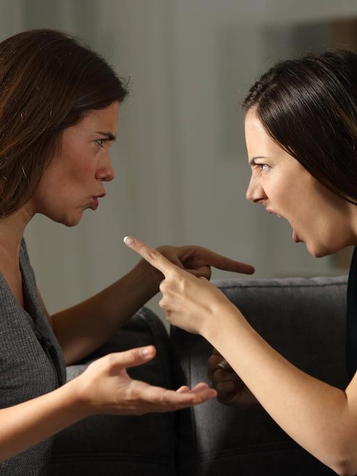 Zwei Frauen streiten sich Zwei Frauen streiten sich