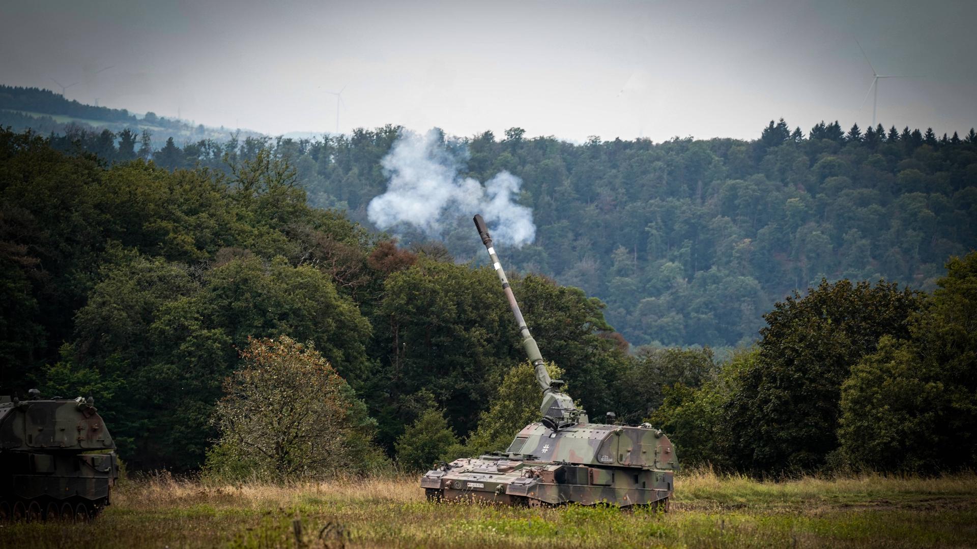 Eine Panzer auf einer Wiese. Eine Panzer auf einer Wiese.