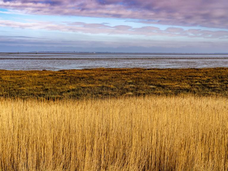 Das Wattenmeer, Ostfriesland, bei Niedersachsen, Blick zur Insel Norderney, Norddeich, Deutschland Wattenmeer Das Wattenmeer, Ostfriesland, bei Niedersachsen, Blick zur Insel Norderney, Norddeich, Deutschland Wattenmeer