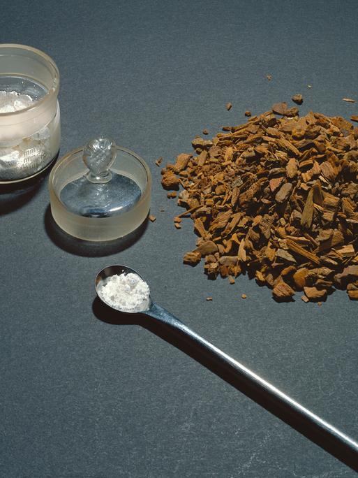 Das weiße Pulver Chinin wird aus der Rinde (braune Stücke) des Chinarindenbaums gewonnen.