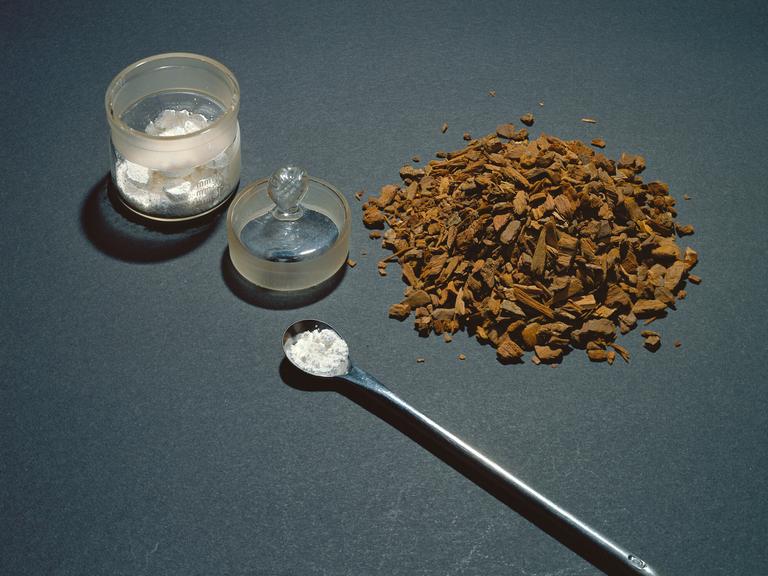 Das weiße Pulver Chinin wird aus der Rinde (braune Stücke) des Chinarindenbaums gewonnen.